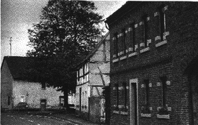 Kaiserlinde_Eckendorf.gif (49559 Byte)