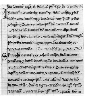 Abschrift1.gif (97769 Byte)