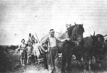 Ernte.gif (79447 Byte)