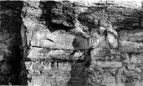 Abbauwand.GIF (59225 Byte)