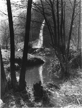 Ahbach.GIF (118250 Byte)