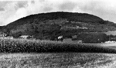 Bausenberg1.gif (87182 Byte)