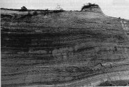 Bausenberg2.gif (47284 Byte)