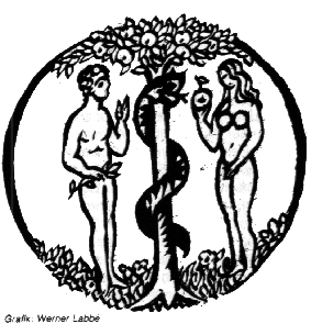 Grafik.GIF (39401 Byte)