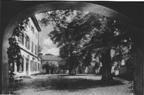 Schonberg.gif (52056 Byte)