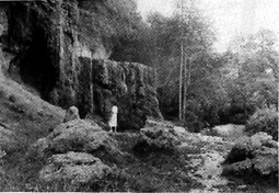 wasser.GIF (54161 Byte)