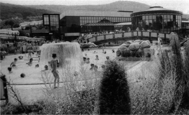 Twin3.gif (97488 Byte)