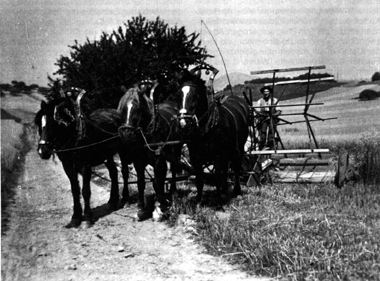 1938.gif (118820 Byte)