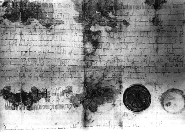 Diplom.gif (115481 Byte)