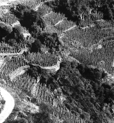 Felslandschaft.gif (187455 Byte)