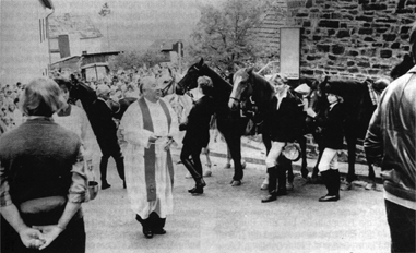 Hain.gif (93000 Byte)