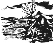 Schaefer.gif (21215 Byte)