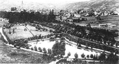 Schwanenweiher.gif (92139 Byte)