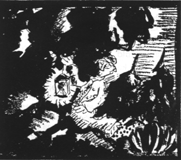 Bild_3.gif (24144 Byte)