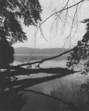 Laacher_See.gif (37784 Byte)