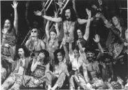 Hair.gif (27708 Byte)