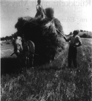 Esser.gif (36478 Byte)