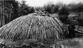 Kohlenmeiler.gif (58863 Byte)