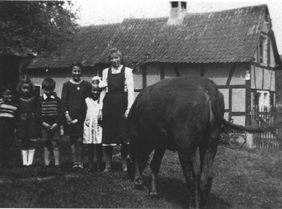 Witwe_Oehl.gif (55856 Byte)