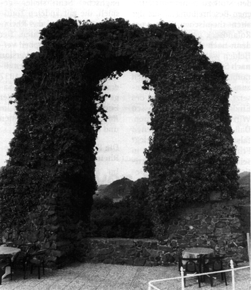 Rolandsbogen1.gif (67686 Byte)